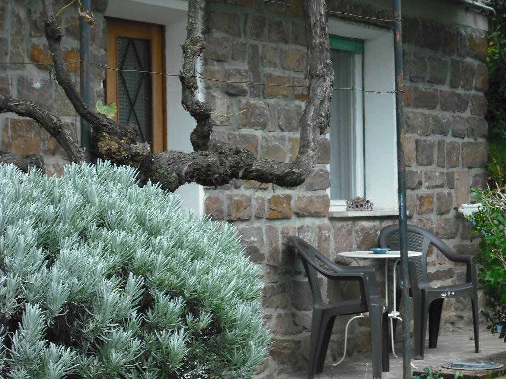 Casa Martello Apartment Левико Терме Стая снимка
